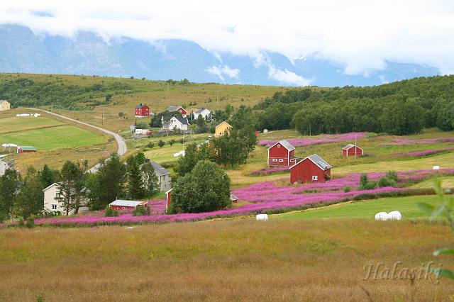 Norwegia (329).JPG - Norwegia północna